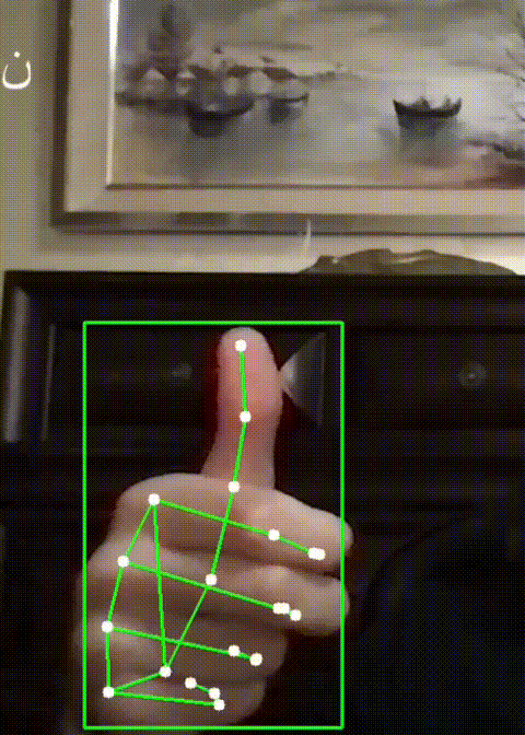 Arabic Sign Language Detector