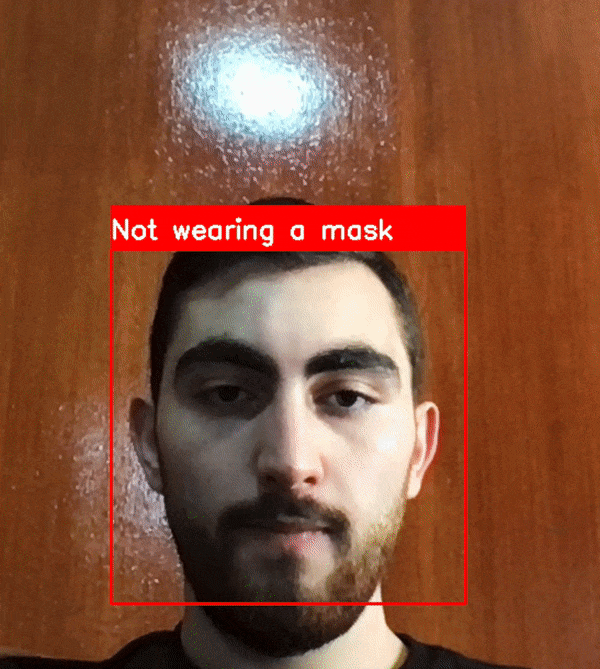 Face Mask Detector
